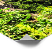 Niagara River / Rainbow Bridge Poster (Ecke)