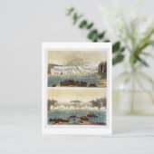 Niagarafälle, 1818 (Farbgravur) Postkarte (Stehend Vorderseite)