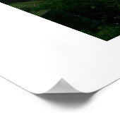 Niagra Falls Poster (Ecke)