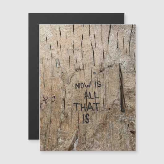 NIATI Magnet (Vorne/Hinten)