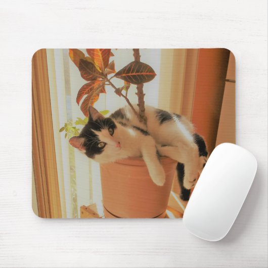 Nibbler ist Catnipping Mousepad (Mit Mouse)