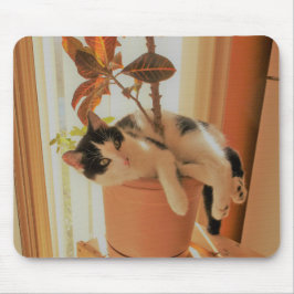 Nibbler ist Catnipping Mousepad