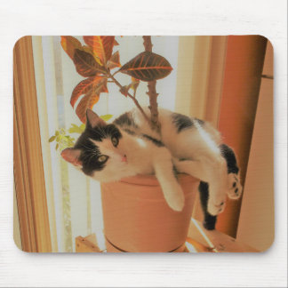 Nibbler ist Catnipping Mousepad