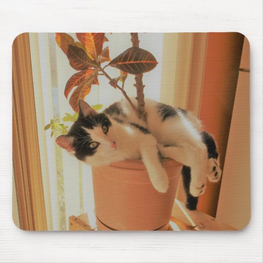 Nibbler ist Catnipping Mousepad (Vorne)