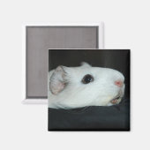 Nibbler Magnet (Vorderseite/Rückseite)