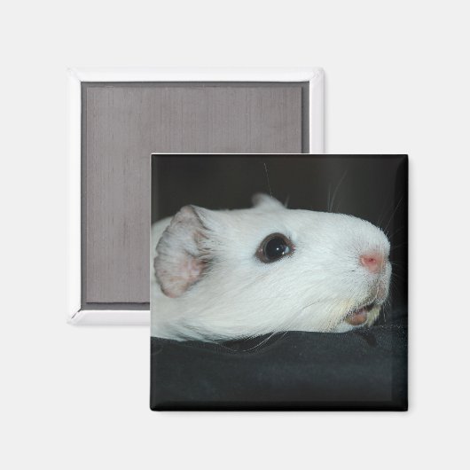 Nibbler Magnet (Vorderseite/Rückseite)