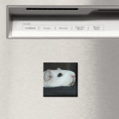 Nibbler Magnet (In Situ (Geschirrspüler))