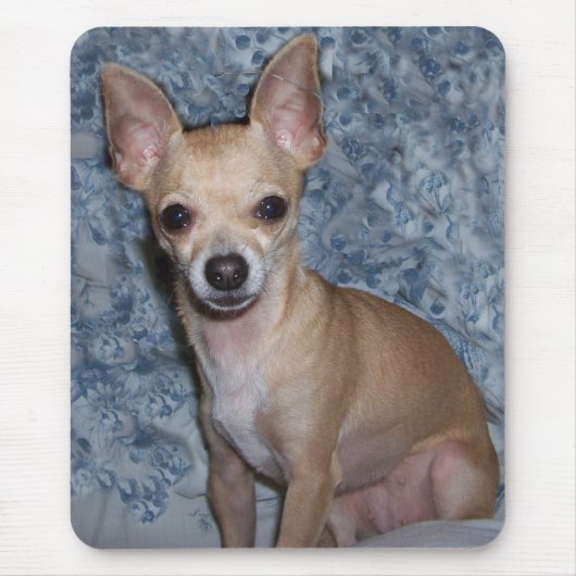 nibblesportrait mousepad (Vorne)