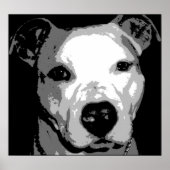Nibs the Pit Bull Poster (Vorne)