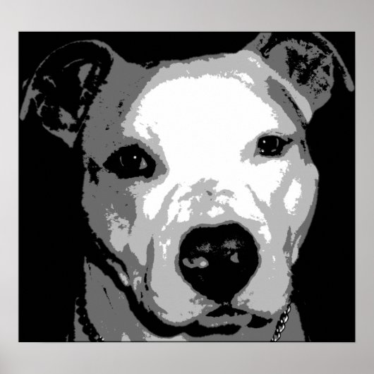 Nibs the Pit Bull Poster (Vorne)