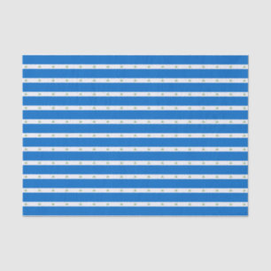 Nicaragua-Flagge Seidenpapier