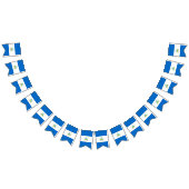 Nicaragua-Flagge Wimpelkette (Alle)