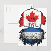 Nicaragua Nicaraguan Kanada Tree Roots Postkarte (Vorne/Hinten)