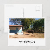 Nicaragua Postkarte (Vorne/Hinten)