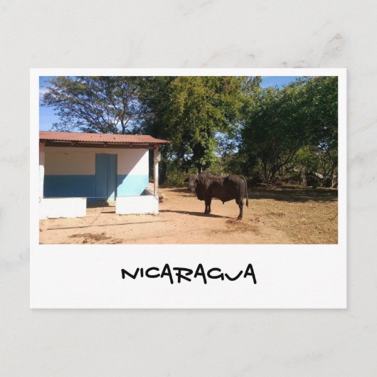Nicaragua Postkarte (Vorderseite)