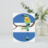 Nicaragua Türkisbraun Torogoz Postkarte (Stehend Vorderseite)