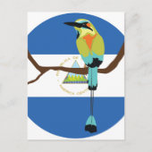 Nicaragua Türkisbraun Torogoz Postkarte (Vorderseite)