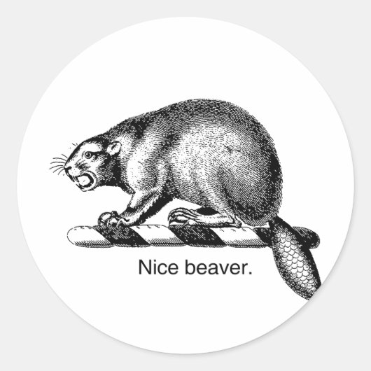 NICE BEAVER -.png Runder Aufkleber (Vorderseite)