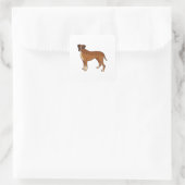 Nice Brown Boxer Dog Breed Design Quadratischer Aufkleber (Tasche)