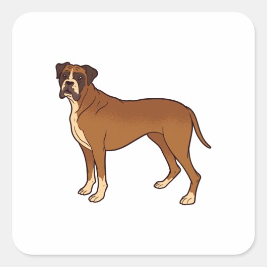 Nice Brown Boxer Dog Breed Design Quadratischer Aufkleber (Vorderseite)