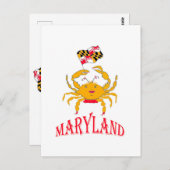 Nice crab in Maryland Postkarte (Vorne/Hinten)