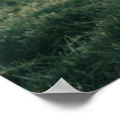 NICE HORSE POSTER (Ecke)