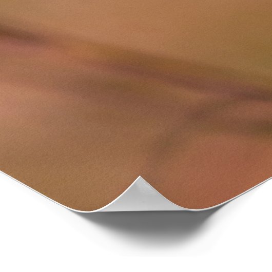 Nice japanische Apricot-Blume Poster (Ecke)