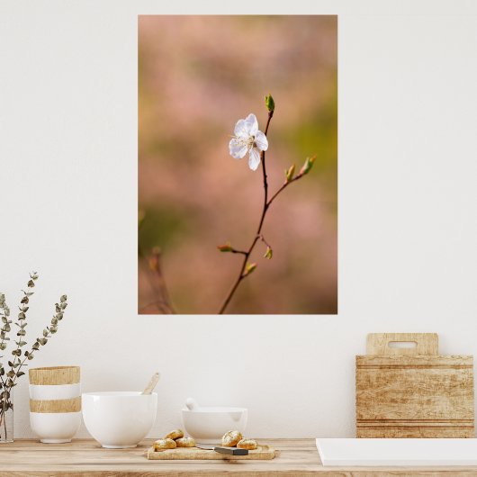 Nice japanische Apricot-Blume Poster (Küche)