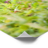 Nice Lächeln Poster (Ecke)