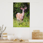 Nice Lächeln Poster (Küche)