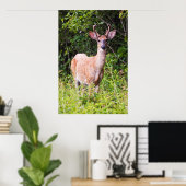 Nice Lächeln Poster (Heimbüro)