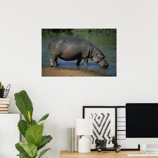 Nice Long Drink Hippopotamus Portrait Poster (Heimbüro)