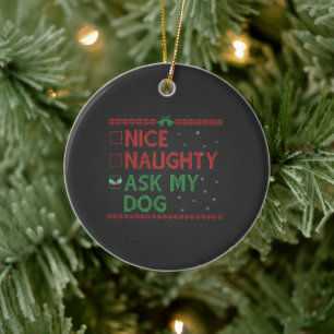 Nice Naughty Fragte meinem Hund Funny Pet Weihnach Keramik Ornament