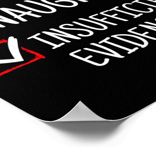 Nice Naughty Insufficient Evidence Funny Christmas Poster (Ecke)