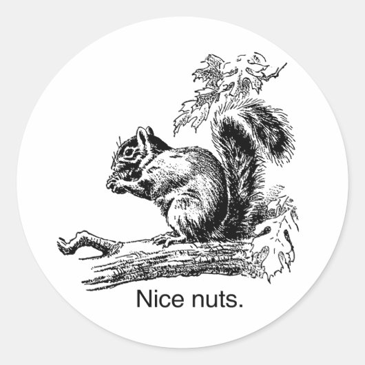 NICE NUTS -.png Runder Aufkleber (Vorderseite)