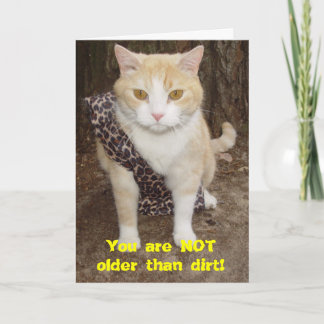 Nice Older als Dirt BD Card Karte