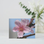 Nice Raspberry Bloom Postkarte (Stehend Vorderseite)