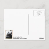 Nice Sacramento Postcard! Postkarte (Rückseite)