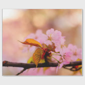 Nice Soft Pink Sakura Blume im Springtime Geschenkpapier (Flach)