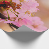 Nice Soft Pink Sakura Blume im Springtime Geschenkpapier (Ecke)