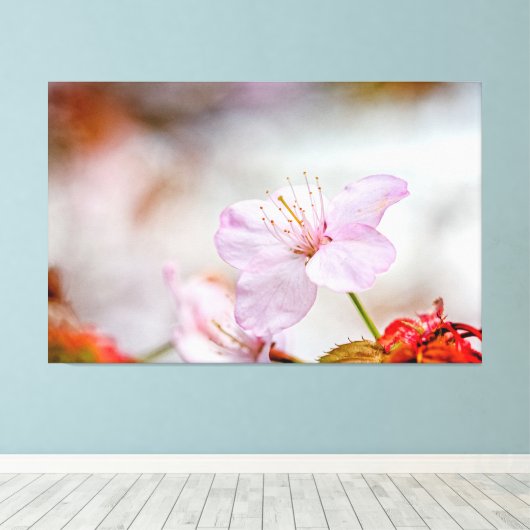 Nice Soft Pink Sakura Blume im Springtime Leinwanddruck (Insitu (Holzboden))