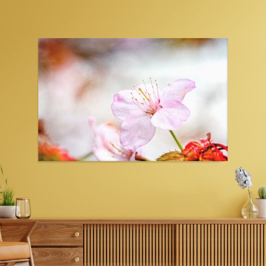 Nice Soft Pink Sakura Blume im Springtime Leinwanddruck (Insitu (Wohnzimmer))