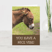 Nice Vibe Donkey Happy Birthday Karte (Vorderseite)