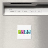 Nichola-Magnet Magnet (In Situ (Geschirrspüler))