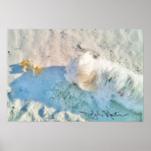 Nicholas & Friend Poster (Vorne)