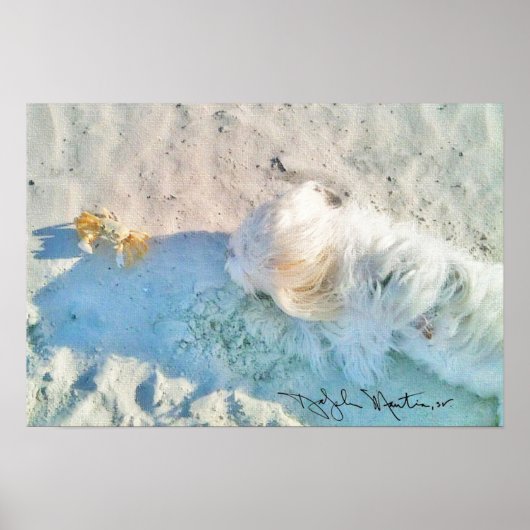 Nicholas & Friend Poster (Vorne)