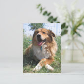 Nicholas Postkarte (Stehend Vorderseite)