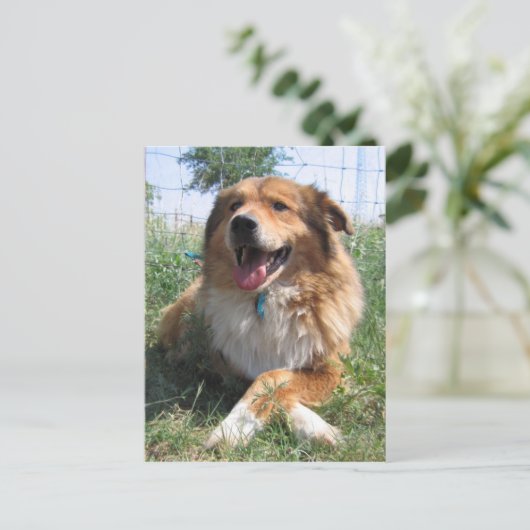 Nicholas Postkarte (Stehend Vorderseite)