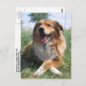 Nicholas Postkarte (Vorne/Hinten)