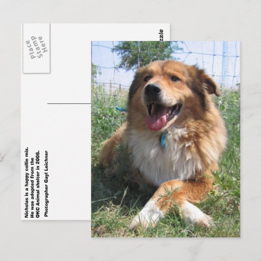 Nicholas Postkarte (Vorne/Hinten)